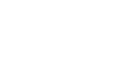 VA logo