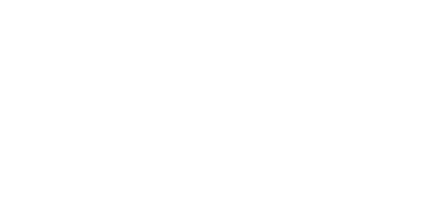 burgerfi logo