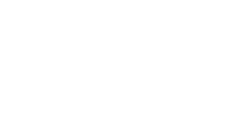 embry riddle logo