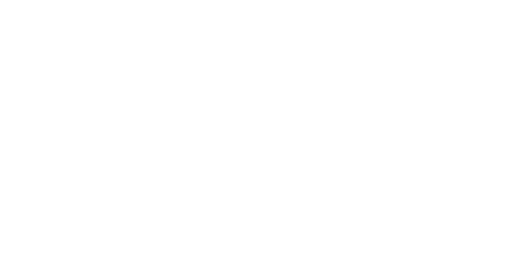 florida state university logo