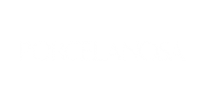 porcelanosa logo